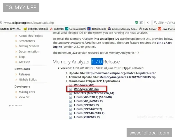 竞博体育登录线路常见问题及快速解决方案,保障您的顺畅登录体验